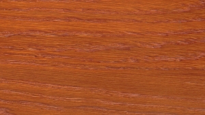 colorwood 21_5a822d5cf0816